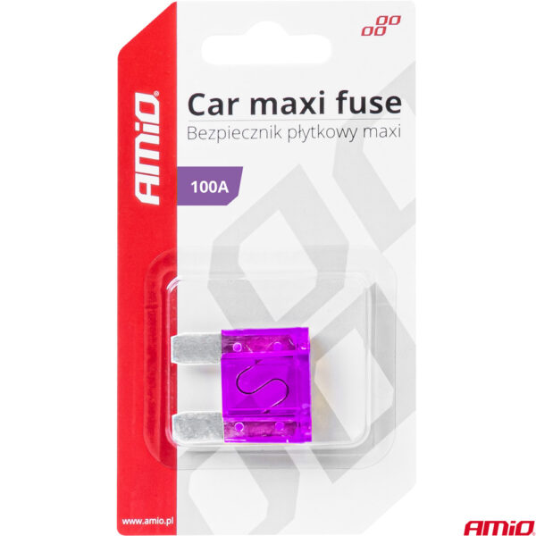 Amio ΑΣΦΑΛΕΙΑ MAXI 100A AMIO - 1 Τεμ. - Image 3