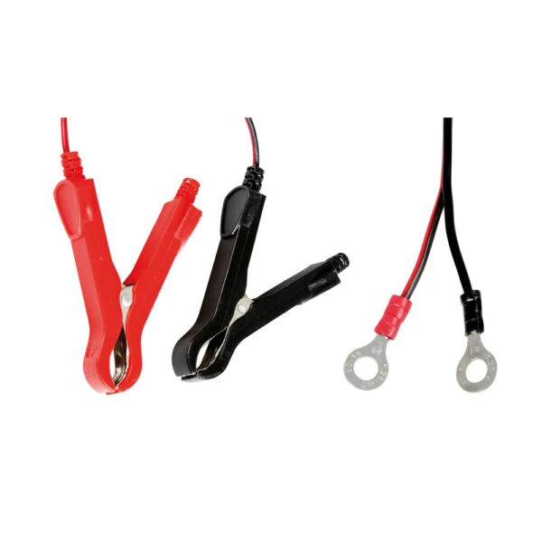 Lampa ΦΟΡΤΙΣΤΗΣ/ΣΥΝΤΗΡΗΤΗΣ ΜΠΑΤΑΡΙΑΣ AMPEROMATIC BIKE 6/12V 1A 2>20Ah GEL/STD/SMF/AGM/EFB/LiFePo4 LAMPA - 1 ΤΕΜ - Image 3