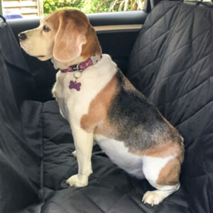 Handiworld ΚΑΛΥΜΜΑ ΚΑΘΙΣΜΑΤΟΣ ΓΙΑ ΚΑΤΟΙΚΙΔΙΑ - DOG SEAT COVER