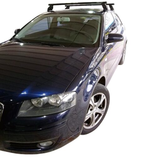 MENABO KIT ΜΕ ΜΠΑΡΕΣ ΟΡΟΦΗΣ ΓΙΑ AUDI A3 8P 3D 2004-2012 ΣΙΔΗΡΟΥ TEMA MENABO (FE2-3360-FIX001G)-2 ΤΕΜ.