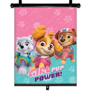 Amio ΚΟΥΡΤΙΝΑΚΙ ΗΛΙΟΠΡΟΣΤΑΣΙΑΣ ΣΕ ΡΟΛΟ PAW PATROL GIRL 36x45cm ΓΙΑ ΠΛΑΙΝΟ ΤΖΑΜΙ/ΠΙΣΩ ΠΑΡΜΠΡΙΖ  ΑΜΙΟ - 1 ΤΕΜ.