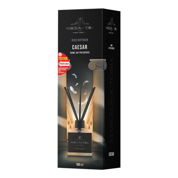 OtoTop ΑΡΩΜΑΤΙΚΟ ΧΩΡΟΥ 100ml ΜΕ STICKS - CAESAR - Image 2