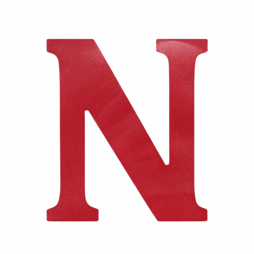 Race Axion Race Axion – Σήμα Ν Νέων Οδηγών Αυτοκόλλητο με Ματ Πλαστικοποίηση για Εξωτερική Χρήση σε Διαστάσεις 13 x 11,2 cm – 1 Τεμ. (Ν20155-RXCCA)